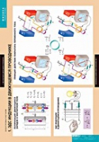 Физика. Электромагнетизм (комплект таблиц) - «globural.ru» - Оренбург