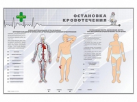 Электрифицированный стенд "Остановка кровотечения" - «globural.ru» - Оренбург