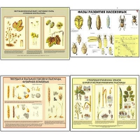 Плакаты ПРОФТЕХ "Вредители и болезни с/х культур и меры борьбы с ними" (11 пл, винил, 70х100) - «globural.ru» - Оренбург