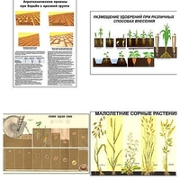 Плакаты ПРОФТЕХ "Агрономия" (5 пл, винил, 70х100) - «globural.ru» - Оренбург