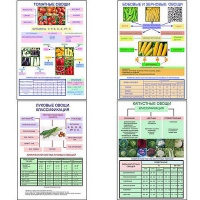 Плакаты ПРОФТЕХ "Классификация овощей" (11 пл, винил, 70х100) - «globural.ru» - Оренбург