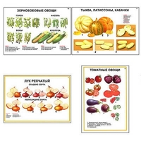 Плакаты ПРОФТЕХ "Ассортимент овощных культур" (12 пл, винил, 70х100) - «globural.ru» - Оренбург