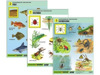 Комплект таблиц для начальной школы "Окружающий мир. Животный мир" - «globural.ru» - Оренбург