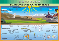 Таблица Возникновение жизни на Земле 1000*1400 винил - «globural.ru» - Оренбург