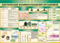 Таблица Биотические взаимоотношения организмов 1000*700 (винил) - «globural.ru» - Оренбург