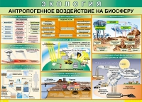 Таблица Антропогенное воздействие на биосферу 1000*700 винил - «globural.ru» - Оренбург