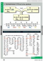 Химия. Белки и нуклеиновые кислоты (комплект таблиц) - «globural.ru» - Оренбург