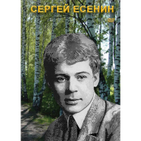 DVD Сергей Есенин - «globural.ru» - Оренбург