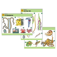 Комплект таблиц по биологии демонстрационный "Зоология 1" (14 таблиц, формат А1, лам.) - «globural.ru» - Оренбург