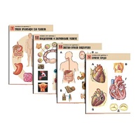 Комплект таблиц по биологии демонстрационный "Человек и его здоровье 1" (20 таблиц, формат А1, лам.) - «globural.ru» - Оренбург