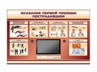Многофункциональный интерактивный стенд-тренажер "Оказание первой помощи пострадавшим" для учащихся общеобразовательных учреждений - «globural.ru» - Оренбург