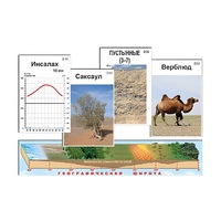 Модель-аппликация "Природные зоны" (ламинированная) - «globural.ru» - Оренбург