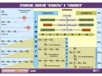 Таблица демонстрационная "Сравнение понятий изомер и гомолог" (винил 100х140) - «globural.ru» - Оренбург