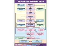 Таблица демонстрационная "Генетическая связь органических веществ" (винил 100x140) - «globural.ru» - Оренбург