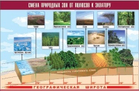 Таблица демонстрационная "Смена природных зон от полюсов к экватору" (винил 70x100) - «globural.ru» - Оренбург