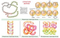 Плакаты и таблицы по общей химии - «globural.ru» - Оренбург