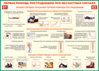  Таблица Общий порядок оказания первой помощи пострадавшим 1000*1400 винил	 - «globural.ru» - Оренбург