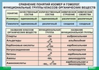 Химия. Сравнение понятий изомер и гомолог. Функциональные группы классов органических веществ (винил) - «globural.ru» - Оренбург