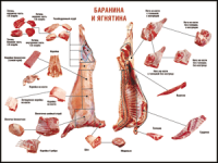 Правила разделки мясных туш "Баранина и ягнятина" 1000*1400 винил - «globural.ru» - Оренбург