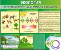 Стенд "Экология. Организация и функционирование сообществ" - «globural.ru» - Оренбург