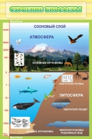 Стенд "Строение биосферы" - «globural.ru» - Оренбург