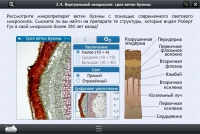 Интерактивные курсы. Биология 5 класс. Базовый  - «globural.ru» - Оренбург