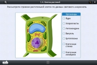 Интерактивные курсы. Биология 9 класс. Базовый - «globural.ru» - Оренбург