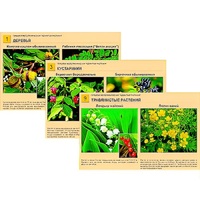 Гербарий фотографический "Ядовитые растения" - «globural.ru» - Оренбург