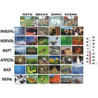 Фенологические наблюдения - «globural.ru» - Оренбург