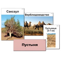 Модель-аппликация "Природные зоны России" - «globural.ru» - Оренбург