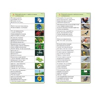 Комплект карточек (10) "Обучающий калейдоскоп. Природа" - «globural.ru» - Оренбург