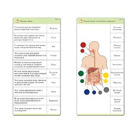 Комплект карточек (10) "Обучающий калейдоскоп. Человек" - «globural.ru» - Оренбург