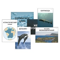 Модель-аппликация "Океаны. Знакомство" (ламинированная) - «globural.ru» - Оренбург