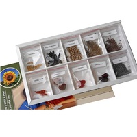 Коллекция "Плоды сельскохозяйственных растений" (вариант 2) - «globural.ru» - Оренбург