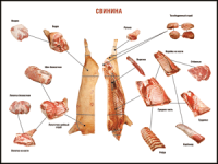 Правила разделки мясных туш "Свинина" 1000*1400 винил - «globural.ru» - Оренбург