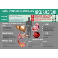 Стенд "Алкоголь" - «globural.ru» - Оренбург