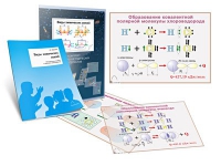 Комплект транспарантов «Виды химических связей» - «globural.ru» - Оренбург