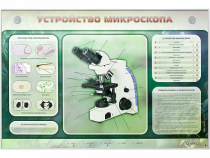 Электрифицированный стенд "Устройство микроскопа и правила работы c ним" - «globural.ru» - Оренбург