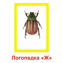 Логопедка "Ж" (логопедические карточки) - «globural.ru» - Оренбург