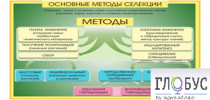 Стенд "Методы селекции и биотехнологии" - «globural.ru» - Оренбург