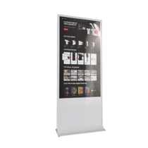 Интерактивный сенсорный киоск Nova 55" - «globural.ru» - Оренбург