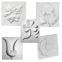 Комплект гипсовых моделей растений  - «globural.ru» - Оренбург