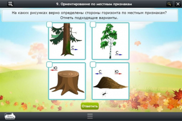 Интерактивные курсы. Окружающий мир 1 класс. Базовый - «globural.ru» - Оренбург