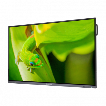 Интерактивный программно-аппаратный комплекс Geckotouch Interactive IP65GT-C в комплекте с настенным креплением - «globural.ru» - Оренбург